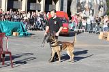 ARRESTATION POLICE 047